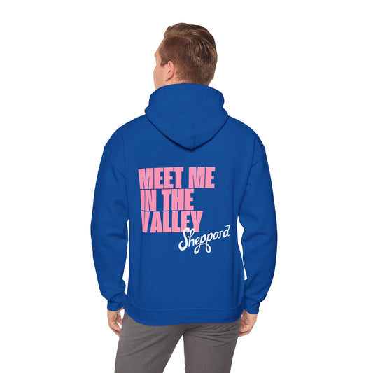 Coming Home Hoodie (New)